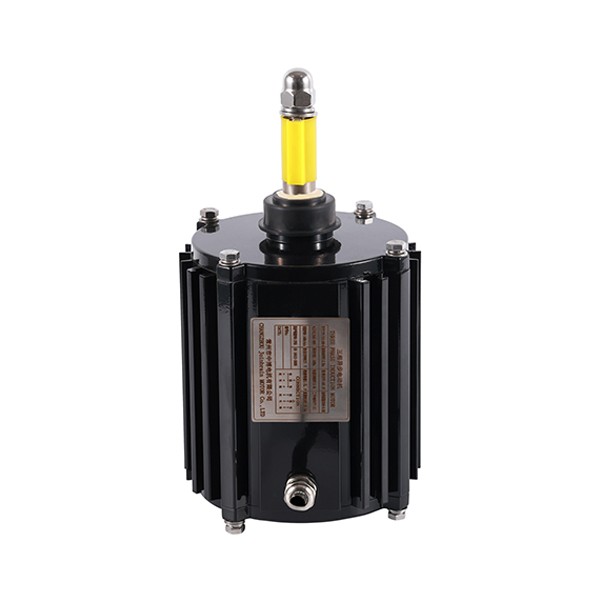 100 Refrigeration Three-Phase Asynchronous AC Motor