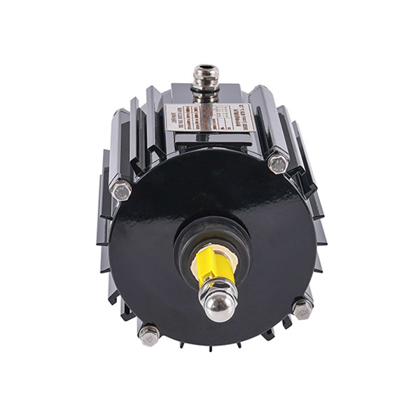 Refrigeration Three-Phase Asynchronous AC Motor YLS-100-4P