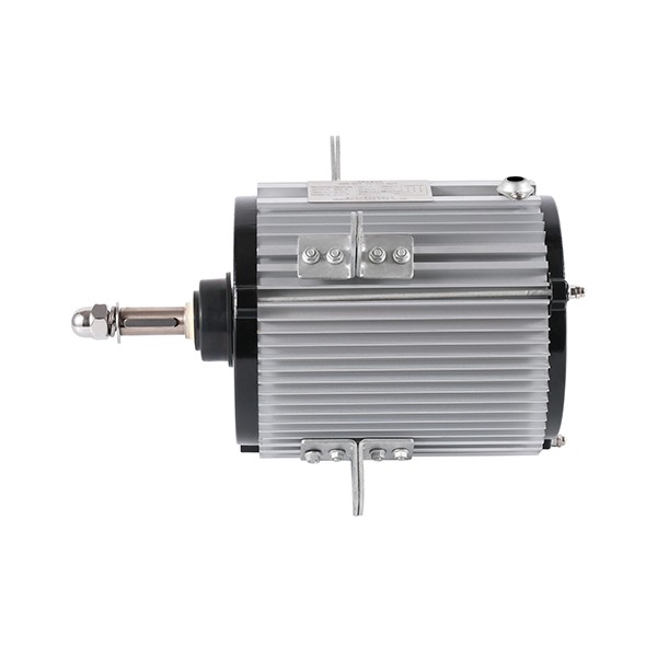 100 Aluminum Housing Three-Phase Asynchronous AC Motor