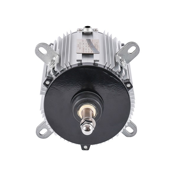 100 Aluminum Housing Three-Phase Asynchronous AC Motor