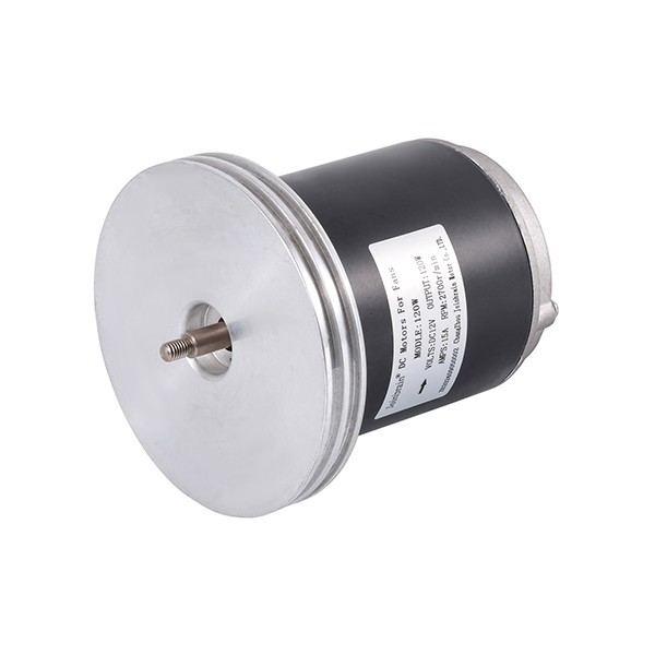 120W Brushless DC Motor for Water Pump