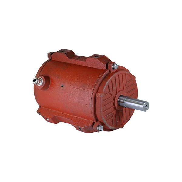 112 Cast Iron Housing Three-Phase Asynchronous Motor