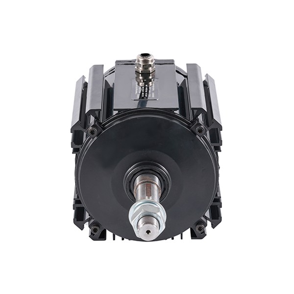 Permanent Magnet Brushless DC Negative Pressure Fan Motor