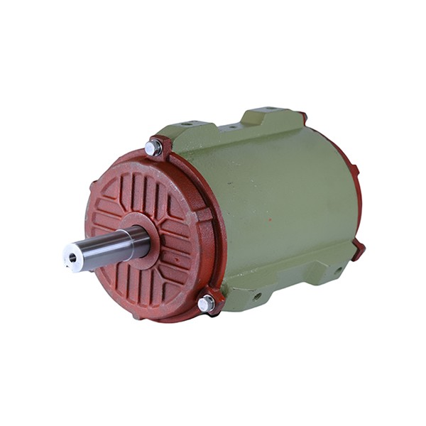 100 Cast Iron Housing Three-Phase Asynchronous Motor
