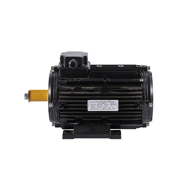 2200w AC Motor For Animal Husbandry