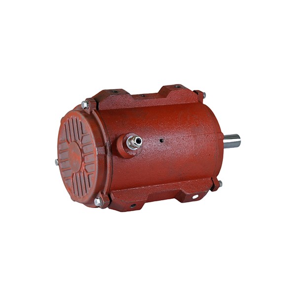 112 Cast Iron Housing Three-Phase Asynchronous Motor
