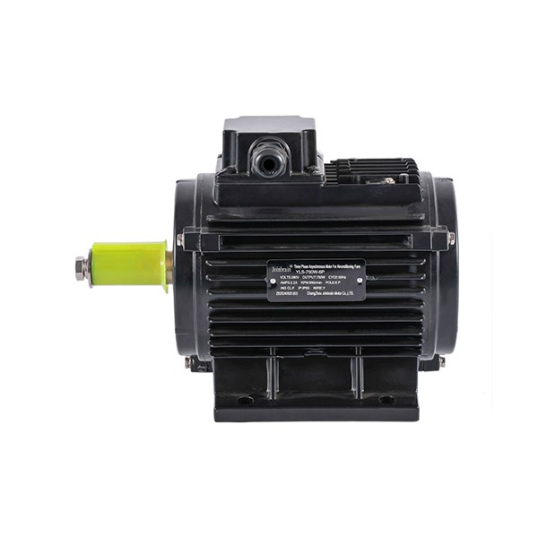750w AC Motor For Animal Husbandry
