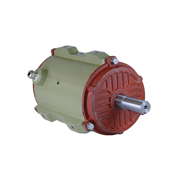 100 Cast Iron Housing Three-Phase Asynchronous Motor