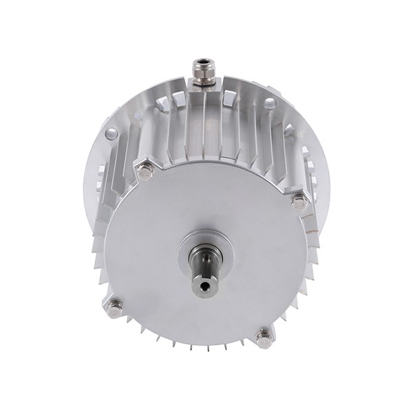Aluminum Case Inverted Three-phase Asynchronous Motor