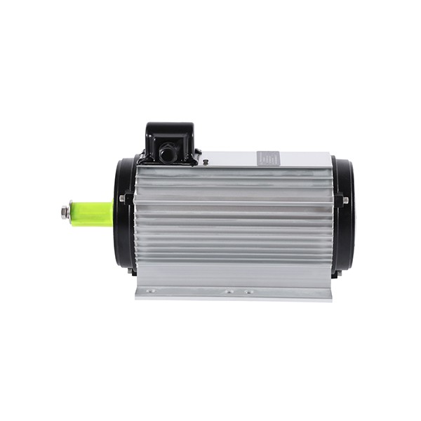 3000w AC Motor For Animal Husbandry
