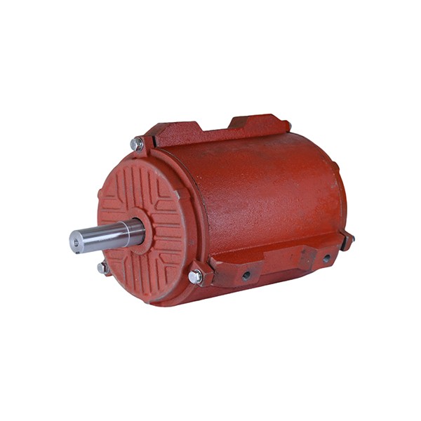 112 Cast Iron Housing Three-Phase Asynchronous Motor