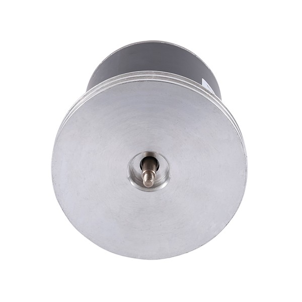 120W Brushless DC Motor for Water Pump
