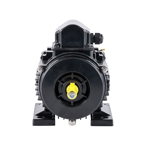 310w AC Motor For Animal Husbandry