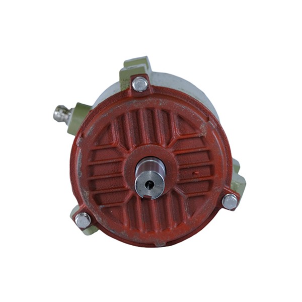 100 Cast Iron Housing Three-Phase Asynchronous Motor