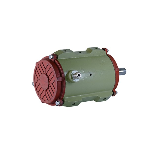 100 Cast Iron Housing Three-Phase Asynchronous Motor