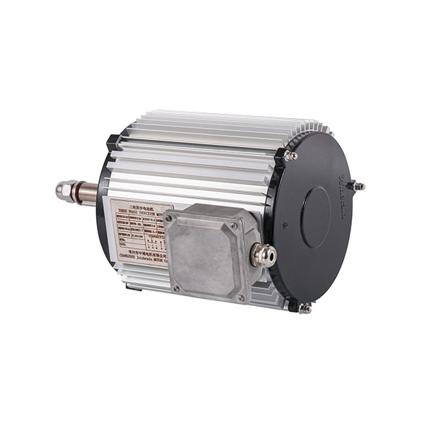 112 Aluminum Housing with Terminal Box Frame Series Three-phase Asynchronous Motor