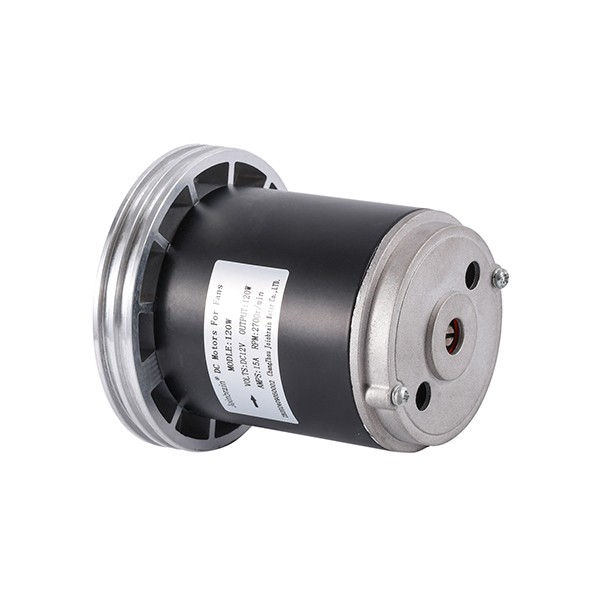 120W Brushless DC Motor for Water Pump