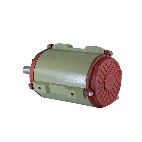 100 Cast Iron Housing Three-Phase Asynchronous Motor