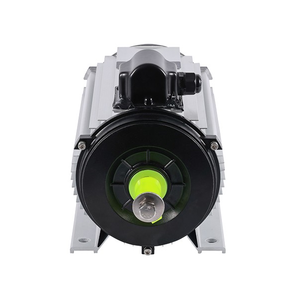 3000w AC Motor For Animal Husbandry