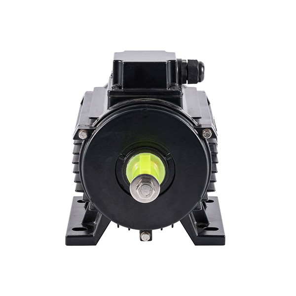750w AC Motor For Animal Husbandry
